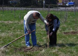 Загальноуніверситетські акції «Чисте довкілля» та «Посади дерево»